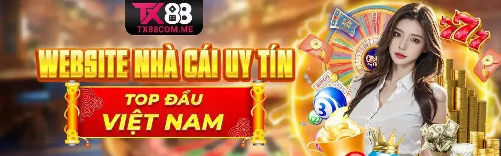 Giải trí hấp dẫn